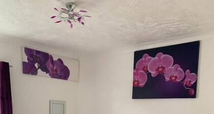 Red Rose Self-service