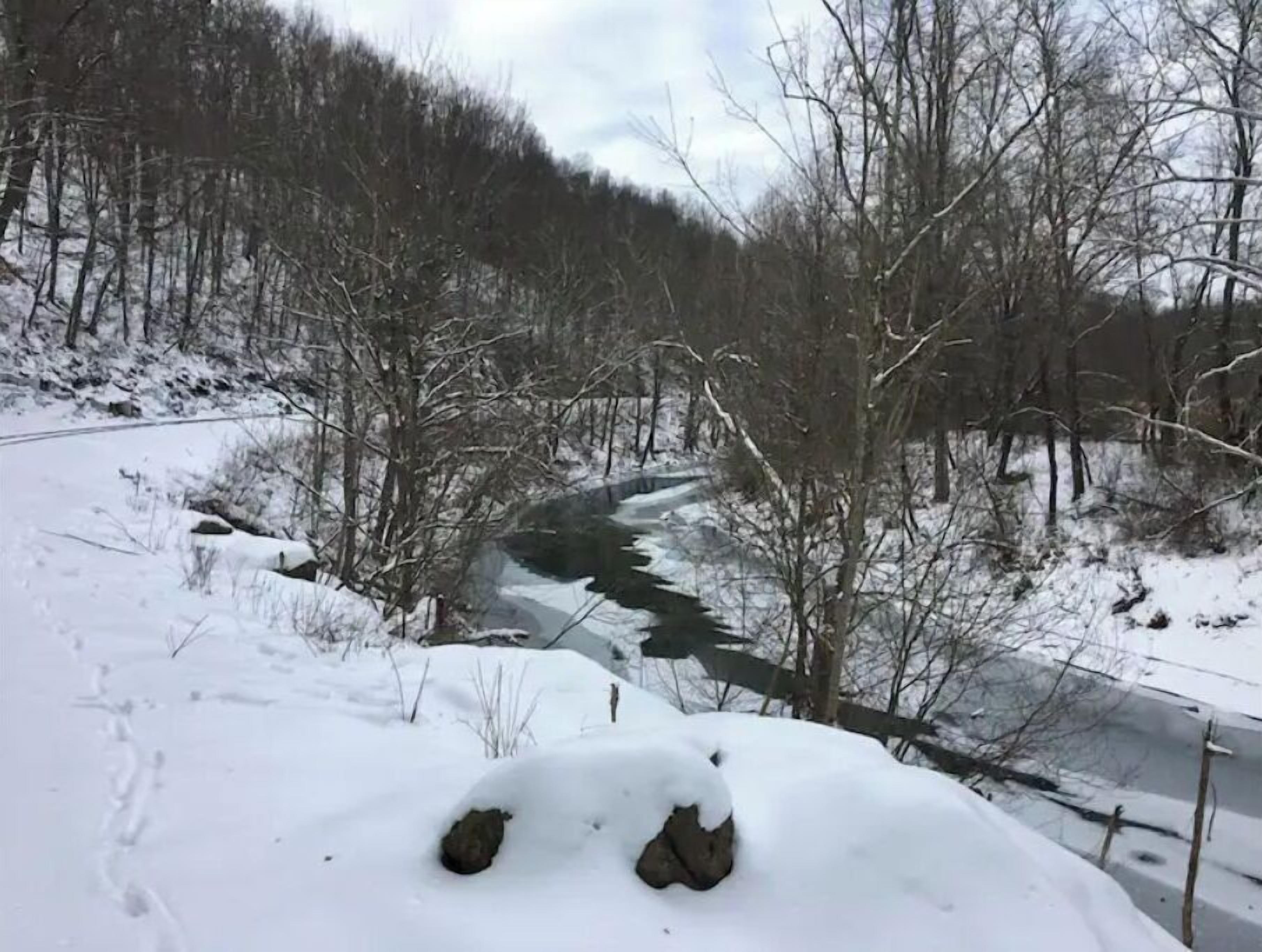 Un paysage enneigé avec une rivière, des arbres et une route.