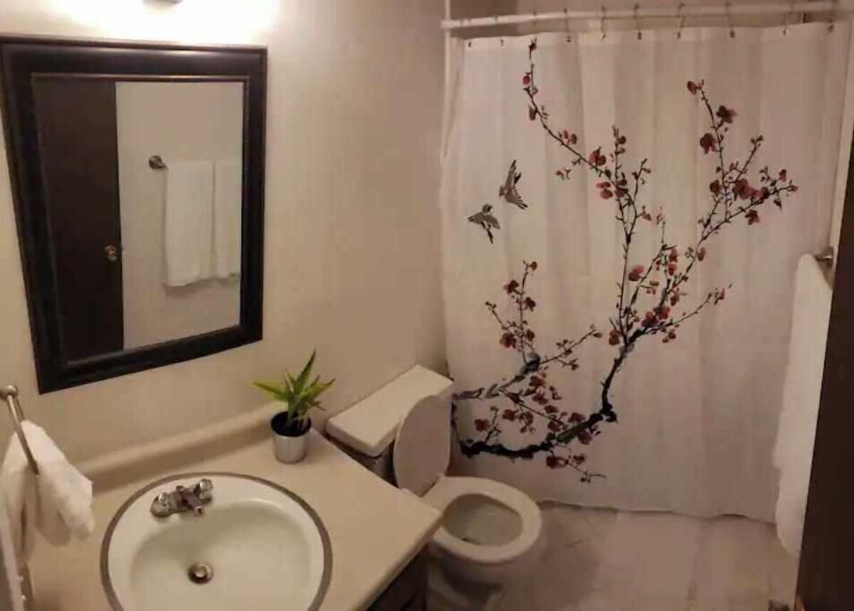 Imagen de perfil del propietario o de la propietaria