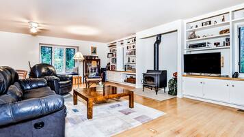 Tv, eldstad, dvd-spelare och böcker