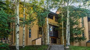 A building with a stone facade, a staircase, and birch trees in the foreground.