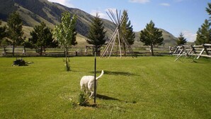 Un champ verdoyant avec un moulin à vent, des arbres et une montagne en arrière-plan.