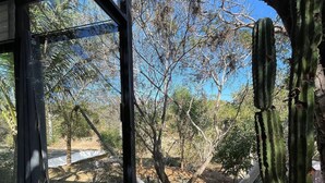Une terrasse en bois avec un hamac, un cactus et une structure en verre.