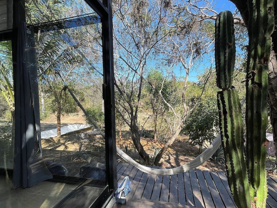 Una terraza de madera con una hamaca, un cactus y una estructura de vidrio.