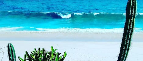 Sombrillas y toallas de playa