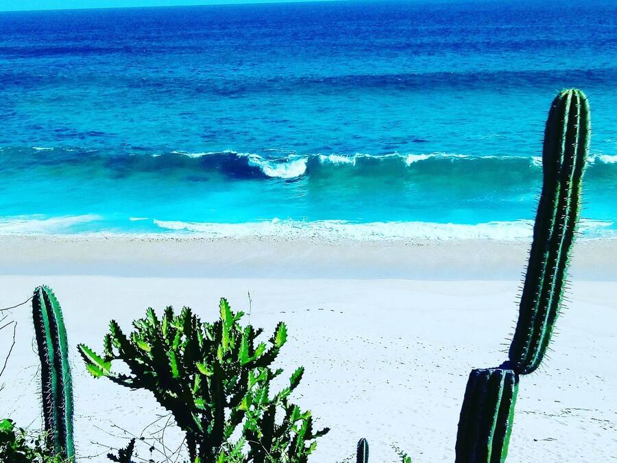 Beach umbrellas, beach towels