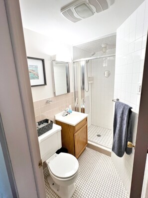 Combined shower/tub, hair dryer, towels, soap