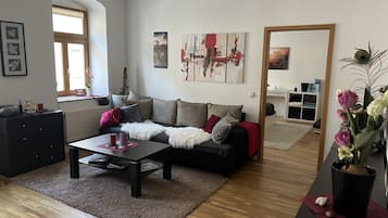 TV, DVD player, books, music library