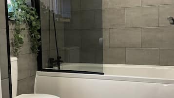 Combined shower/tub, hair dryer, towels, soap