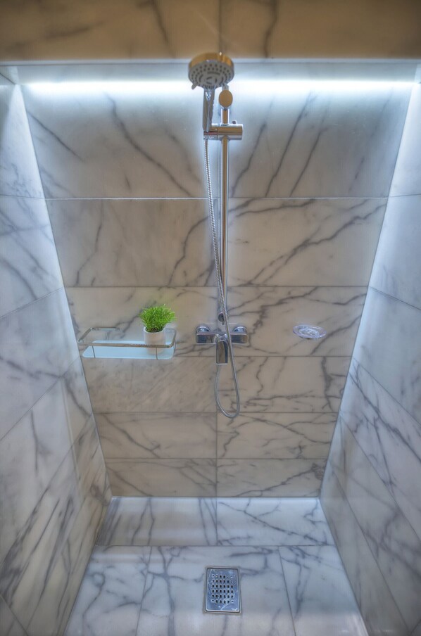 Shower, hair dryer, towels