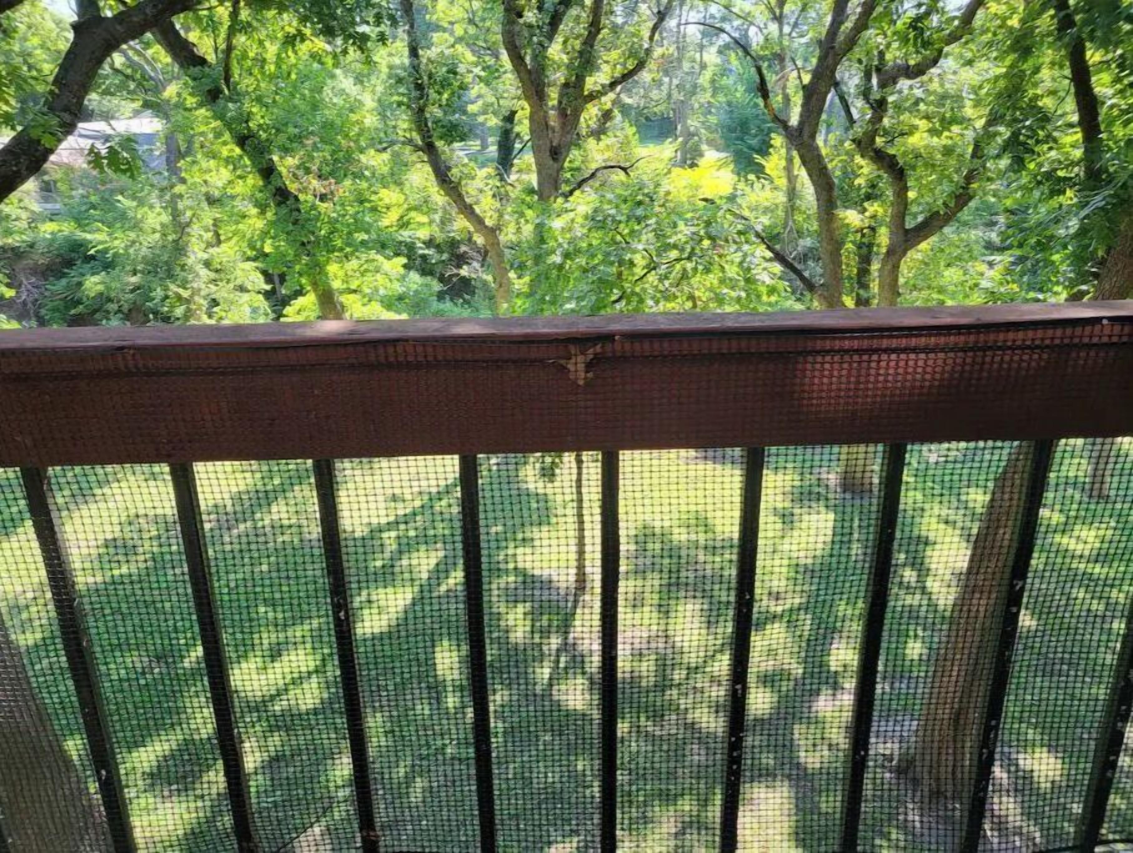 A wooden deck with a mesh railing overlooking a lush green garden.