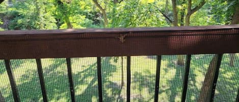A wooden deck with a mesh railing overlooking a lush green garden.