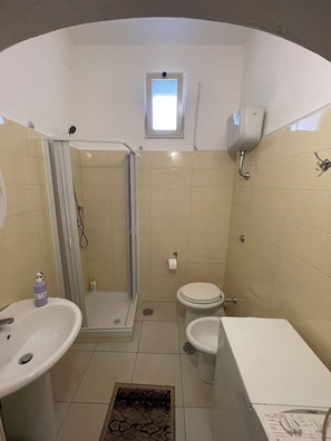 Shower, hair dryer, bidet, towels