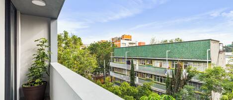 A balcony with a potted plant, overlooking a multi-story building with balconies and a green tiled facade.
