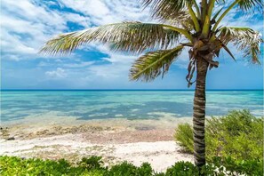 Plage, chaises longues, serviettes de plage