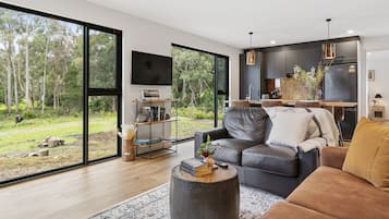 TV, fireplace, books