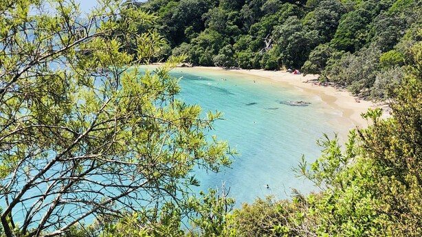 A beach with clear turquoise water, surrounded by dense green forest.