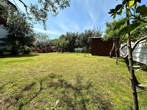 A backyard with a grassy lawn, a wooden shed, and a variety of trees and shrubs.