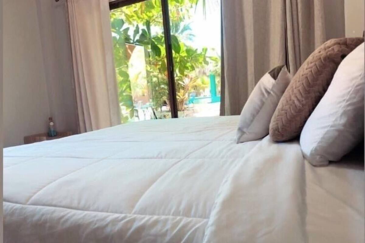 Classic Room | View from room