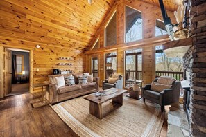 智能电视、壁炉、电子游戏、书