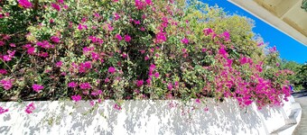 Quiet hillside villa with expansive sea, beach, and mountain views...