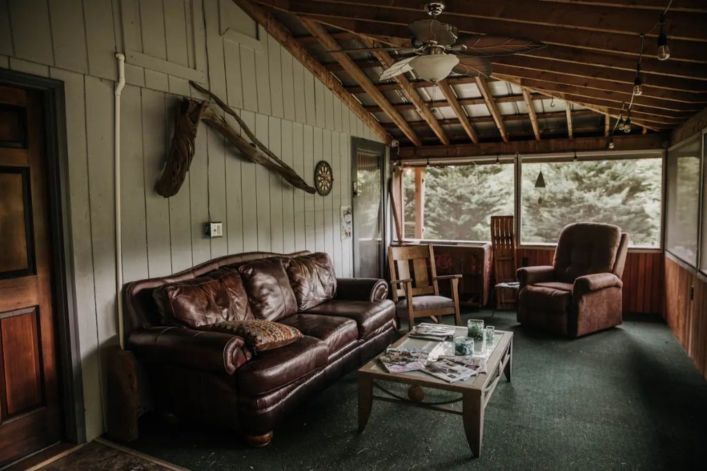 Smart TV, fireplace, DVD player, books