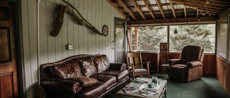 Smart TV, fireplace, DVD player, books