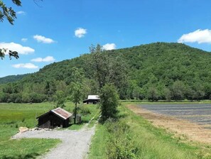 Ländliche Landschaft mit einem Schotterweg, der zu einer kleinen Holzhütte führt.