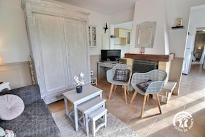 TV, fireplace, books