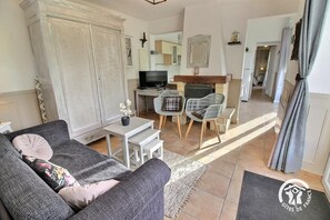 TV, fireplace, books