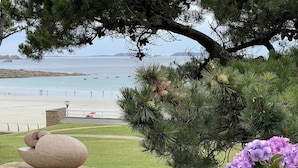 A landscaped area with a stone sculpture, a pine tree, and purple hydrangeas. - Trestraou - Perros Guirec (PERROS GUIREC)