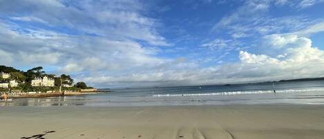 A beach with sand, seaweed, and buildings in the background.