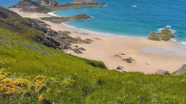 A coastal landscape with a sandy beach, rocky outcrops, and grassy terrain.