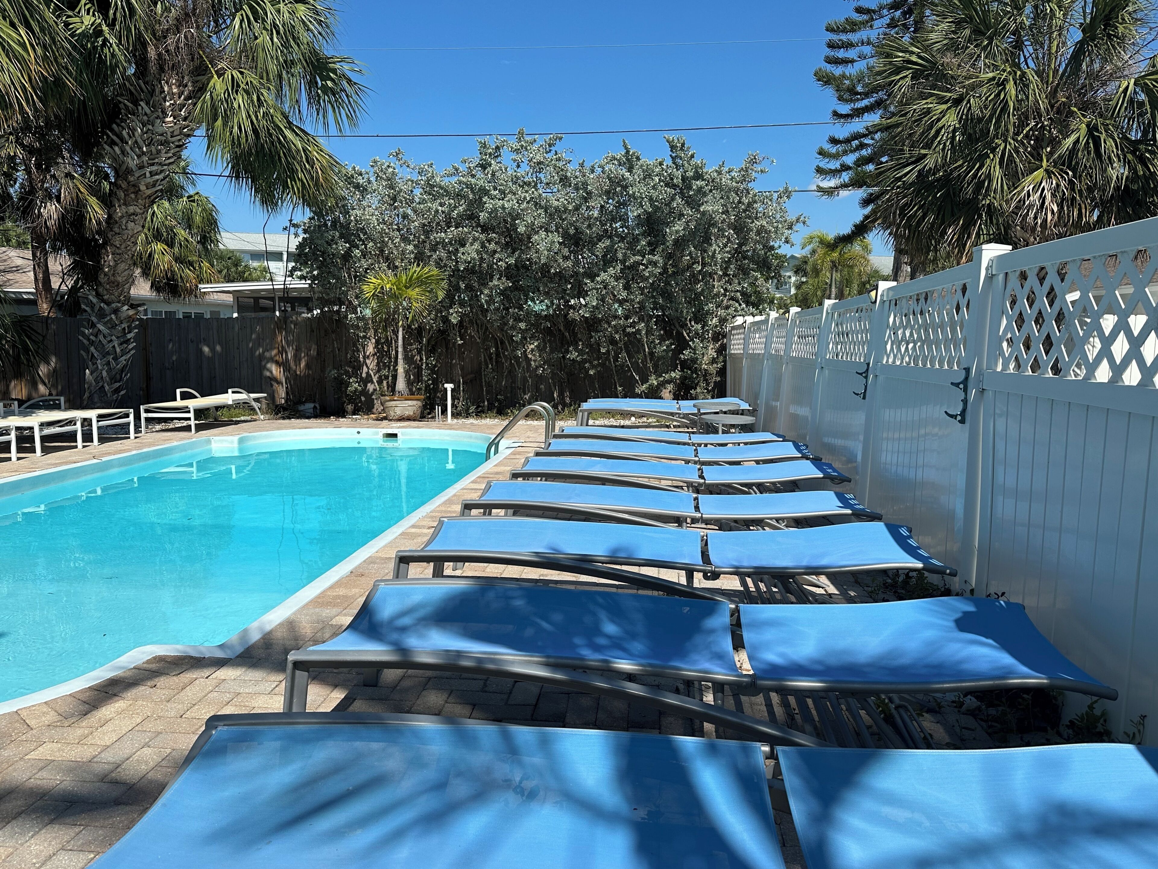 Ein Swimmingpool mit blauen Liegestühlen, die in Reihen angeordnet sind.