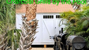 Un cortile con un barbecue, un capanno bianco e una palma.