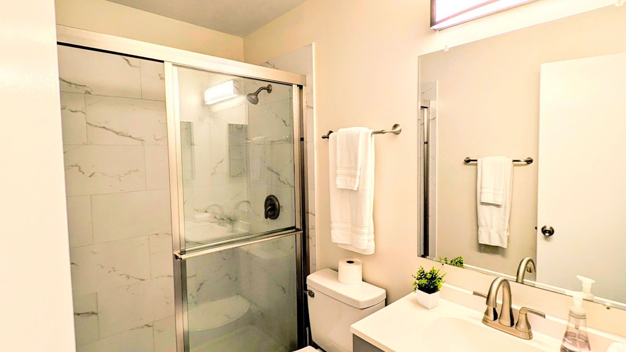 A modern bathroom with a glass-enclosed shower, a toilet, a sink with a mirror, and a small potted plant.