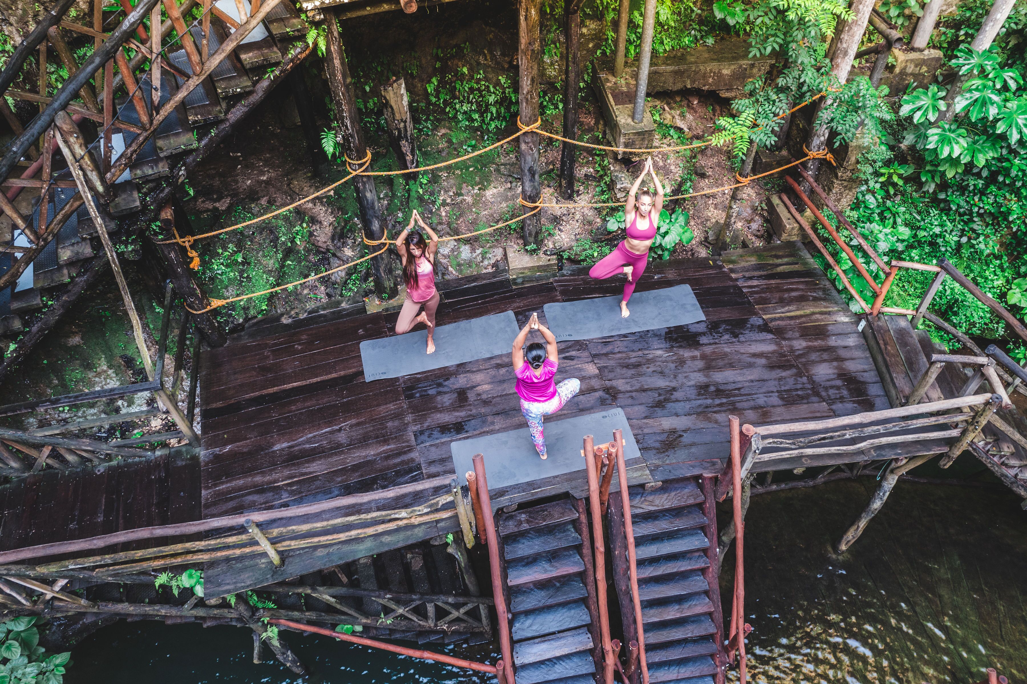 A wooden deck with a rope bridge, surrounded by greenery.