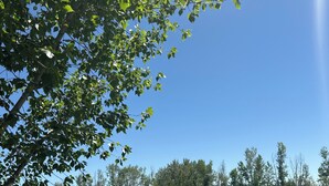 A calm lake surrounded by trees and vegetation. - Wonderful campground in Caldwell with stunning views. And a shared private lake. (Caldwell)