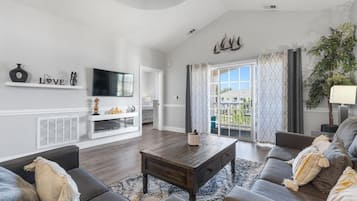 Smart TV, fireplace, books