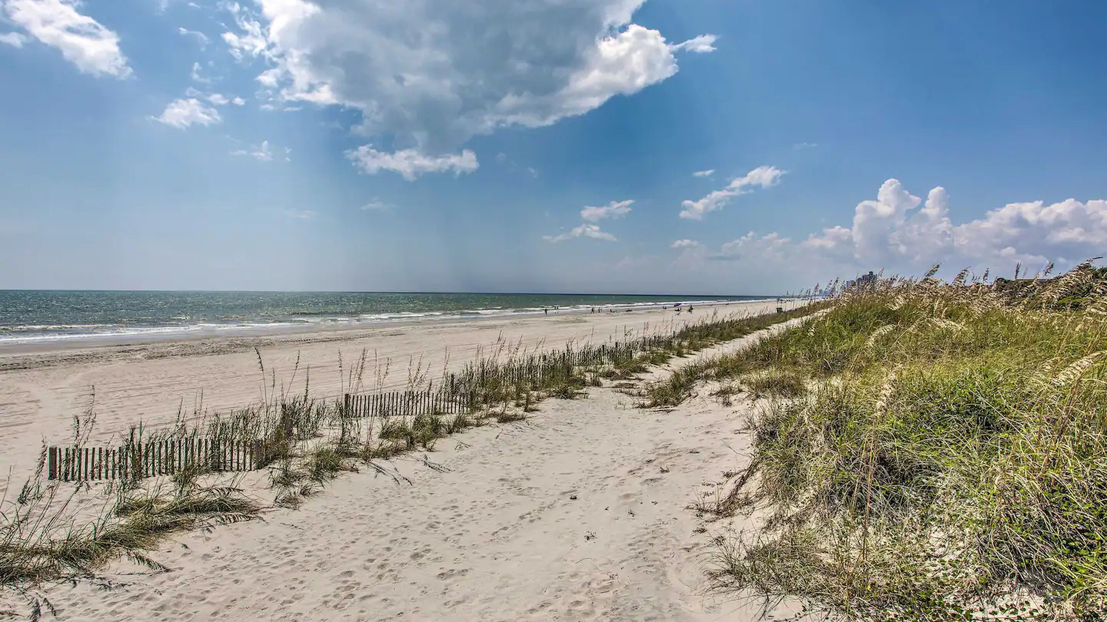 A sandy beach with a wooden fence and grassy dunes.