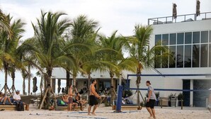 Un terrain de beach-volley avec des palmiers et un bâtiment en arrière-plan.