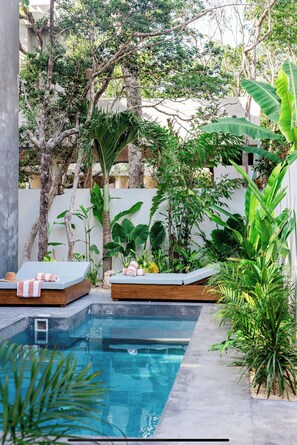 Pool - Chic Villa 1 mi from Beach & Centro Tulum (Q.R.)