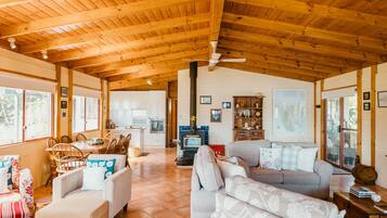 Smart TV, fireplace, books