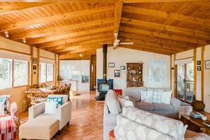 Smart TV, fireplace, books