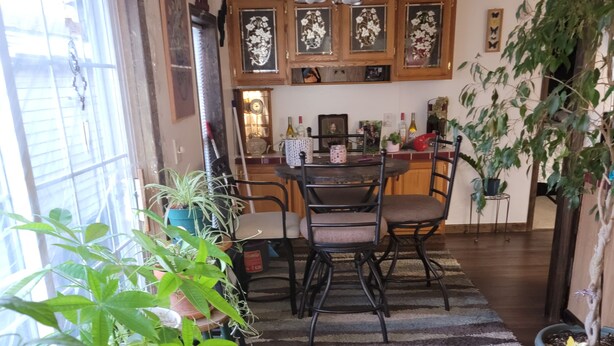Un comedor con una mesa y sillas de madera, rodeado de plantas en macetas.