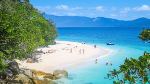 Une plage à l’eau turquoise et limpide, bordée d’un rivage sablonneux et d’une végétation luxuriante.