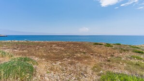 Eine Küstenlandschaft mit felsigem Gelände und spärlicher Vegetation.