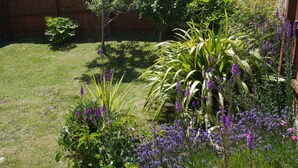 A garden with various plants and a wooden fence. - Cliffwalk Cottage (Portland)