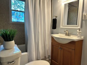 Combined shower/bathtub, hair dryer, towels, soap