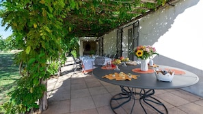 An outdoor dining area with a round table, chairs, and a pergola covered with greenery.